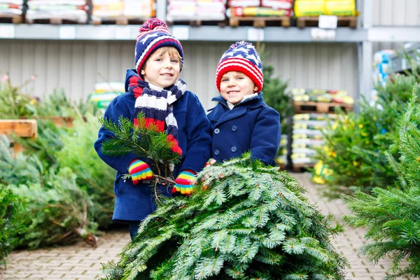 Zwei kleine Jungen kaufen Weihnachtsbaum im Outdoor-Geschäft — Stockfoto