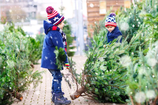 Dos niños pequeños comprando árbol de Navidad en la tienda al aire libre —  Fotos de Stock