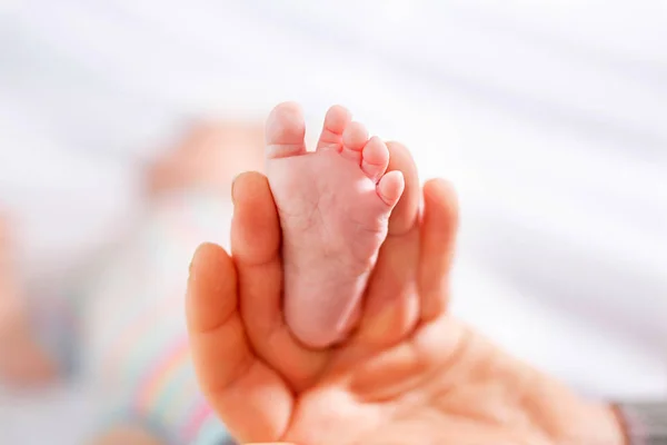 Father or mother holding foot of newborn baby — Stock Photo, Image