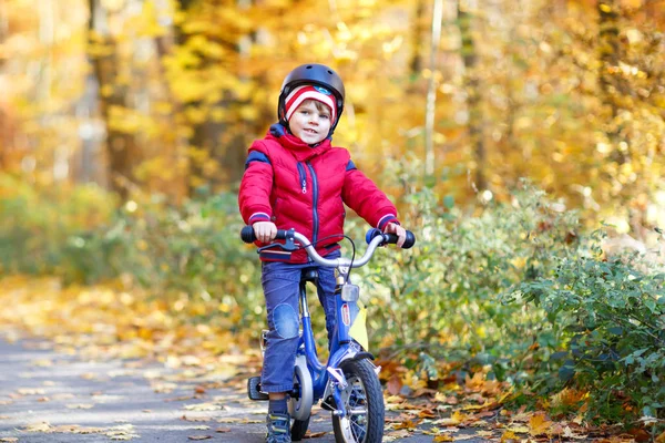 Little kid boy in colorful warm clothes in autumn forest park driving a bicycle — Stock Photo, Image