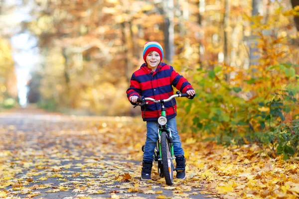 秋の森公園で自転車を運転するカラフルな暖かい服の小さな子供の男の子 — ストック写真