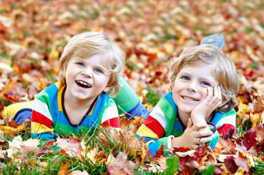 Sonbahar yapraklarında renkli giysiler içinde yatan iki küçük ikiz çocuk. Mutlu kardeşler sıcak bir günde sonbahar parkında eğleniyorlar. Sarı saçlı sağlıklı çocuklar ve akçaağaç yapraklı mavi gözler..