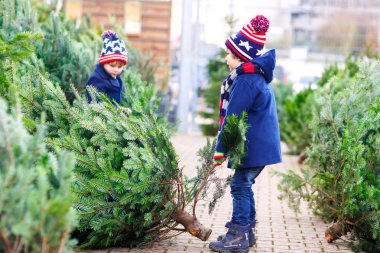 İki küçük çocuk açık hava dükkanından noel ağacı alıyor.