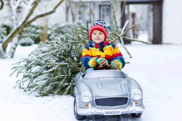 Engraçado pouco sorridente garoto menino condução brinquedo carro com árvore de Natal. — Fotografia de Stock