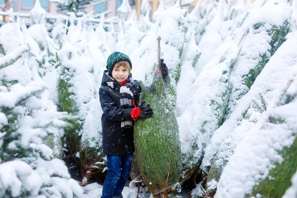 Güzel gülen bir çocuk Noel ağacı holding — Stok fotoğraf