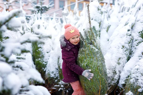 在圣诞树市场上可爱的小女孩微笑的孩子. — 图库照片