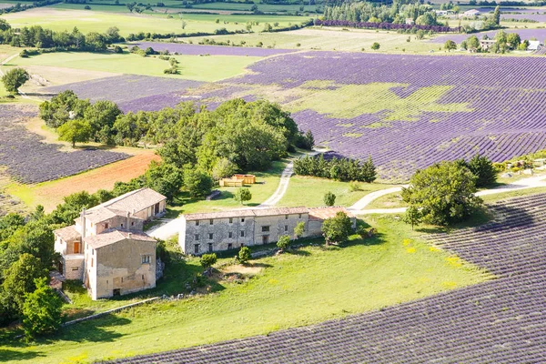 Campos de lavanda perto de Valensole em Provence, França . — Fotografia de Stock