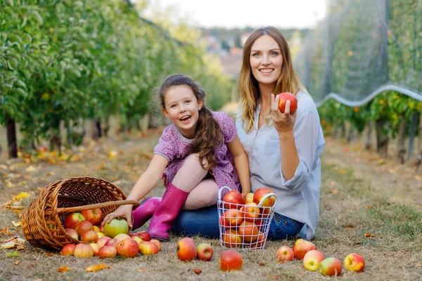 Retrato de niña y hermosa madre con manzanas rojas en huerto orgánico. Mujer feliz e hija niño recogiendo frutas maduras de los árboles y divertirse. Temporada de cosecha para la familia. —  Fotos de Stock