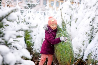 Sevimli küçük gülümseyen çocuk kız Noel ağacı pazarında.