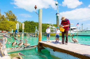 Baba ve iki küçük balıklar ve pelikanlar besleme çocuklar çocuk