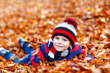 Sonbahar yaprakları arasında küçük şirin bir çocuk parkta..