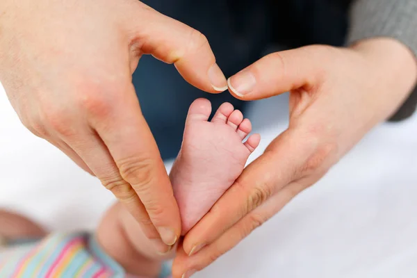 Father or mother holding foot of newborn baby — Stock Photo, Image