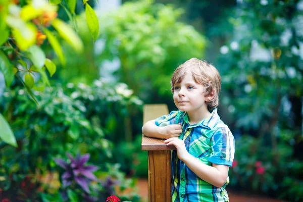 Niño rubio preescolar descubriendo flores y mariposas en el jardín botánico —  Fotos de Stock
