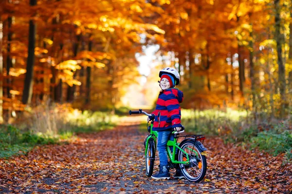 Kleine jongen in kleurrijke warme kleren in de herfst bos park rijden een fiets — Stockfoto