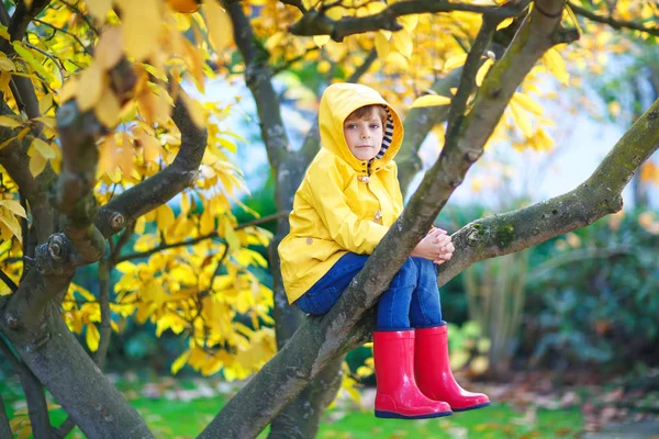 Little kid boy in colorful clothes enjoying climbing on tree on — Stock Photo, Image