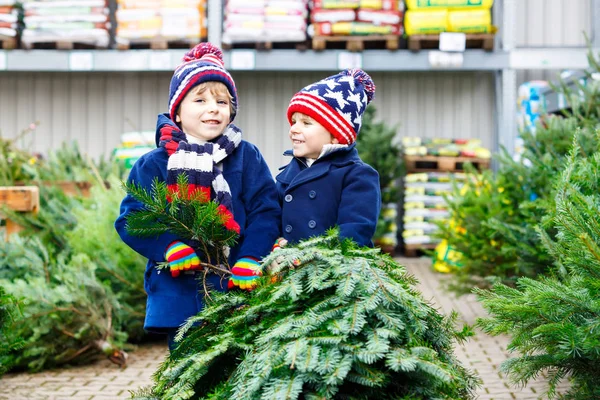 Zwei kleine Jungen kaufen Weihnachtsbaum im Outdoor-Geschäft — Stockfoto