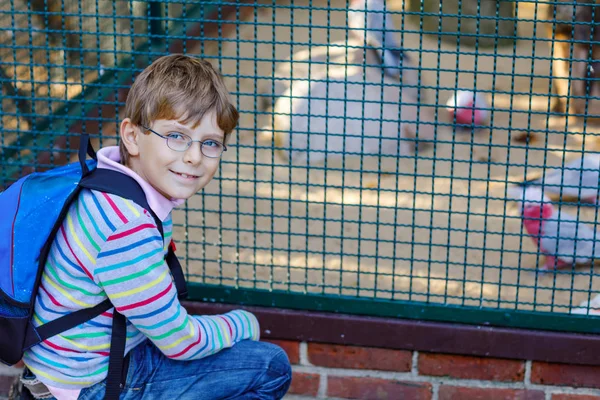 Mały chłopiec dziecko z okulary i plecak podziwiać różne ptaki, jak papuga Park zoo. Szczęśliwy szkoła dziecko oglądając i obserwacji zwierząt i gadów. Rodzinny wypoczynek z dziećmi lub wycieczka szkolna — Zdjęcie stockowe