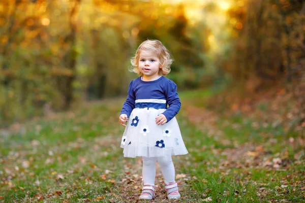 かわいい小さな幼児の女の子秋の公園を散歩を作るします。幸せな健康な赤ちゃんの両親と一緒にウォーキングを楽しんでいます。日当たりの良い暖かい秋子供の日。アクティブなレジャーと自然の中の子供たちとの活動. — ストック写真