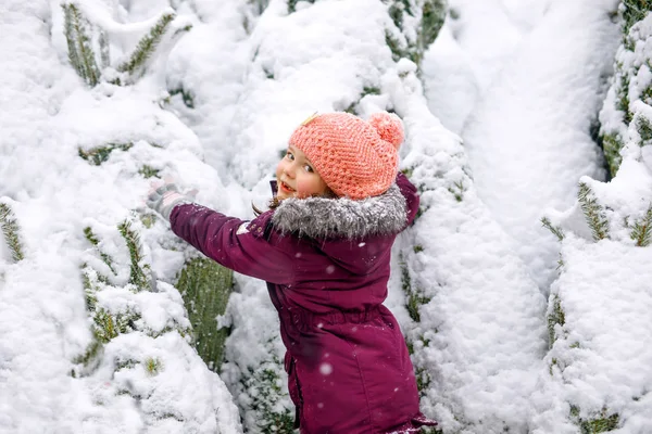 Linda niña sonriente comprando en el mercado de árboles de Navidad. Niño feliz en ropa de invierno sosteniendo y eligiendo el árbol de Navidad en el mercado de Navidad con luces en el fondo en el día de nieve de invierno. —  Fotos de Stock