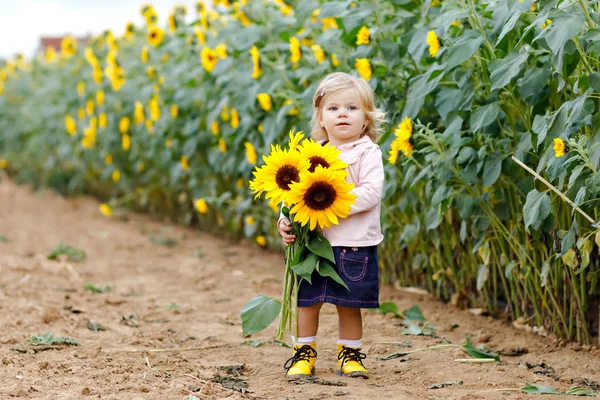 Aranyos és imádnivaló kisgyermek lány napraforgó mező sárga virágok. Gyönyörű baba gyerek szőke hajat. Boldog egészséges kislányom, mosolyogva, és a gazdaság csokor. A késő nyári szabadtéri portré — Stock Fotó