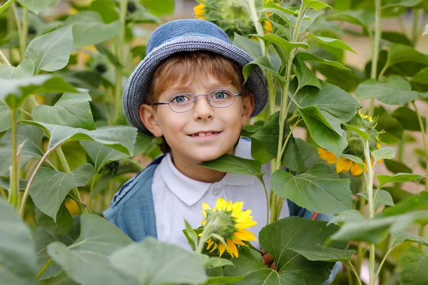 Adorabile bambino biondo con occhiali e cappello sul campo estivo di girasole all'aperto. Bambino in età prescolare carino divertirsi nella calda serata estiva al tramonto. Bambini e natura. — Foto Stock