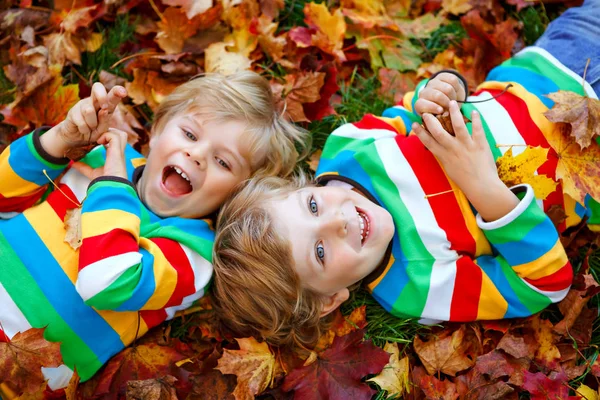 Dois meninos pequenos das crianças gêmeas que encontram-se nas folhas do outono na roupa colorida da forma. Irmãos felizes se divertindo no parque de outono no dia quente. Crianças saudáveis com cabelos loiros e olhos azuis com folhagem de bordo. — Fotografia de Stock