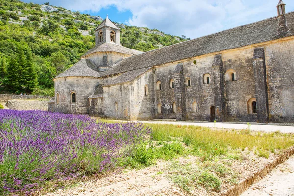 Klostret i senanque och blommande rader lavendel blommor. Gordes, luberon, vaucluse, provence, Frankrike, Europa — Stockfoto