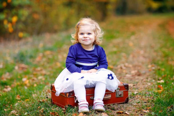 Linda niña pequeña sentada en la maleta en el parque de otoño. Feliz bebé sano disfrutando de caminar con los padres. Día de otoño cálido y soleado con el niño. Ocio activo y actividad con niños en la naturaleza . —  Fotos de Stock