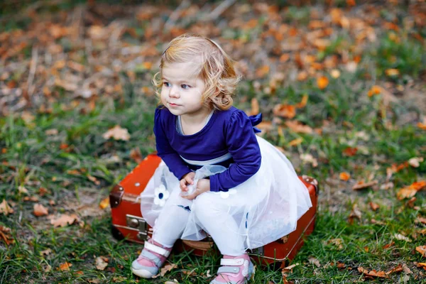 Roztomilá malá batole dívka sedící na kufr v podzimním parku. Šťastné zdravé miminko těší, chůzi s rodiči. Slunné teplé podzimní den s dítětem. Aktivní trávení volného času a aktivity s dětmi v přírodě. — Stock fotografie