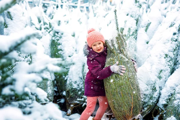 在圣诞树市场上可爱的小女孩微笑的孩子. — 图库照片