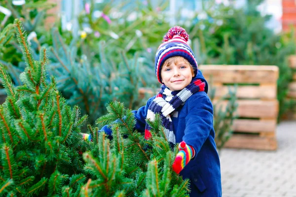 市場でクリスマスツリーを持っている愛らしい小さな笑顔の子供の男の子。アウトドアショップで大きなクリスマスツリーを選択し、購入冬のファッションの服で幸せな健康的な子供。家族、伝統、お祝い. — ストック写真