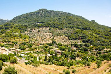 Şehir Valldemossa geleneksel çiçek dekorasyonu, ünlü eski Akdeniz Köyü Mayorka ile görüntüleyin. Balear adaya Mallorca, İspanya