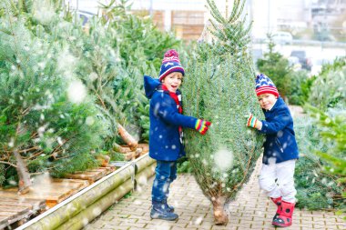 İki küçük çocuk açık hava dükkanından noel ağacı alıyor.