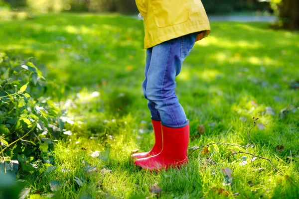 Little child in colorful rain boots. Close-up of school or preschool legs of kid boy or girl in different rubber boots, jeans and jackets. Footwear for rainy fall — Stock Photo, Image