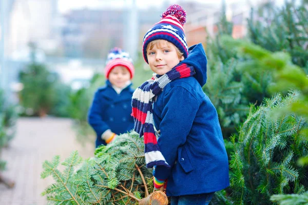 Dos niños pequeños comprando árbol de Navidad en la tienda al aire libre —  Fotos de Stock