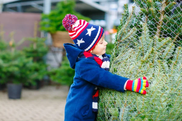 市場でクリスマスツリーを持っている愛らしい小さな笑顔の子供の男の子。アウトドアショップで大きなクリスマスツリーを選択し、購入冬のファッションの服で幸せな健康的な子供。家族、伝統、お祝い. — ストック写真