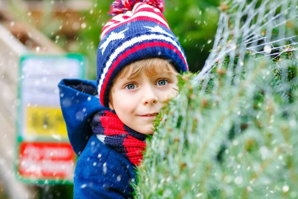 市場でクリスマスツリーを持っている愛らしい小さな笑顔の子供の男の子。アウトドアショップで大きなクリスマスツリーを選択し、購入冬のファッションの服で幸せな健康的な子供。家族、伝統、お祝い. — ストック写真