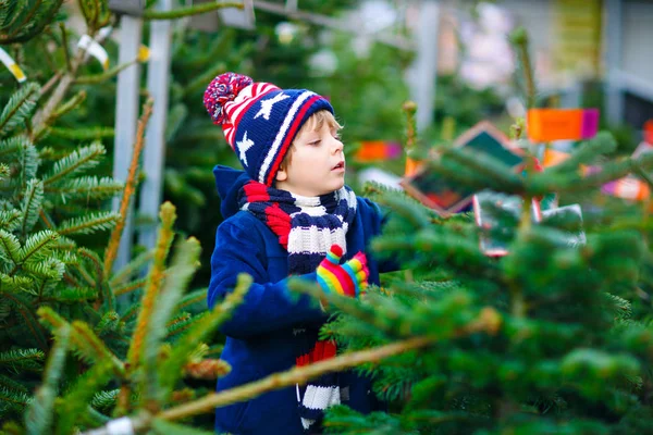 市場でクリスマスツリーを持っている愛らしい小さな笑顔の子供の男の子。アウトドアショップで大きなクリスマスツリーを選択し、購入冬のファッションの服で幸せな健康的な子供。家族、伝統、お祝い. — ストック写真