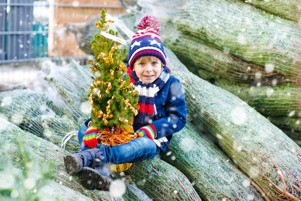 Adorable little smiling kid boy holding Christmas tree on market. Happy healthy child in winter fashion clothes choosing and buying big Xmas tree in outdoor shop. Family, tradition, celebration. — Stock Photo, Image