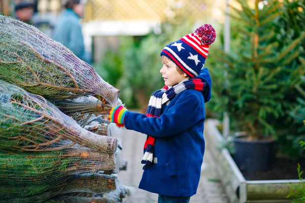 Menino sorridente adorável segurando a árvore de Natal no mercado. Criança saudável feliz em roupas de moda de inverno escolhendo e comprando grande árvore de Natal na loja ao ar livre. Família, tradição, celebração. — Fotografia de Stock