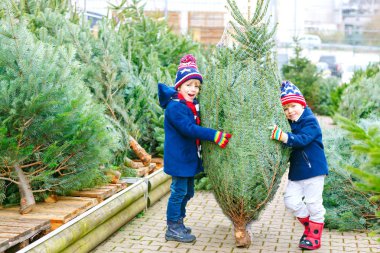 İki küçük çocuk açık hava dükkanından noel ağacı alıyor.