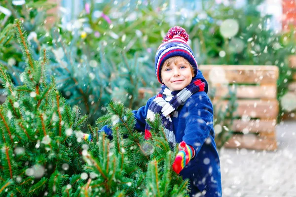 Liebenswerter kleiner lächelnder Junge mit Weihnachtsbaum auf dem Markt. Frohes gesundes Kind in Wintermode Kleidung aussuchen und kaufen großen Weihnachtsbaum im Outdoor-Shop. Familie, Tradition, Feier. — Stockfoto