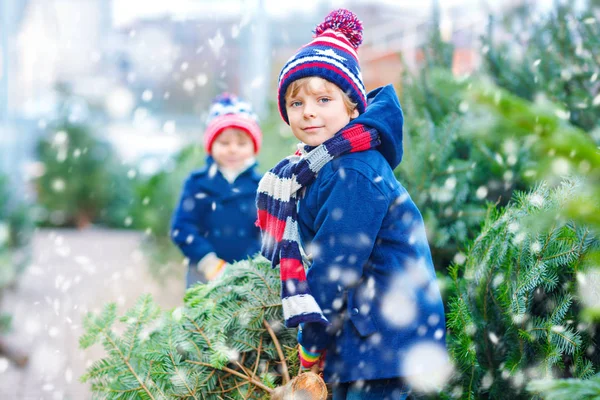 アウトドアショップでクリスマスツリーを買っている2人の子供 — ストック写真