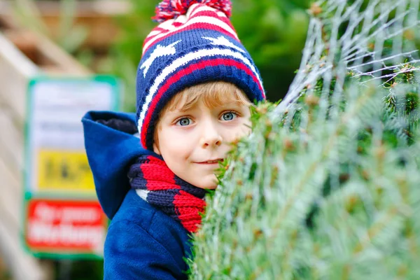 Förtjusande liten leende pojke som håller julgran på marknaden. Glad frisk barn i vinter mode kläder välja och köpa stora Xmas träd i friluftsbutik. Familj, tradition, fest. — Stockfoto