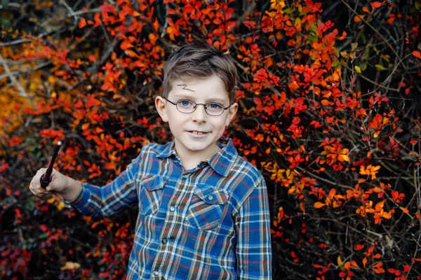 Schöner Kleiner Junge Kostüm Als Zauberer Glückliches Gesundes Kind Das — Stockfoto