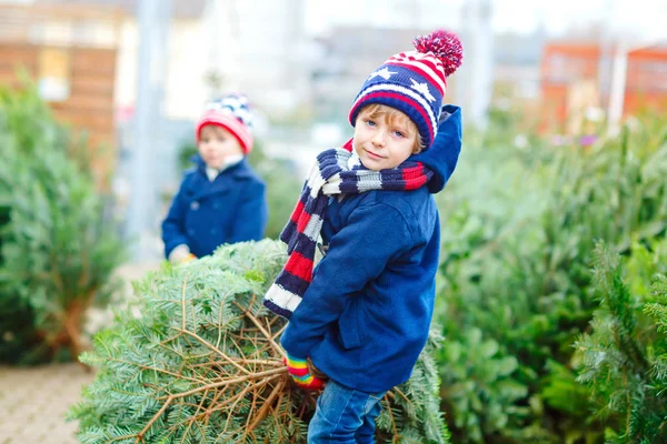 アウトドアショップでクリスマスツリーを買っている2人の子供 — ストック写真