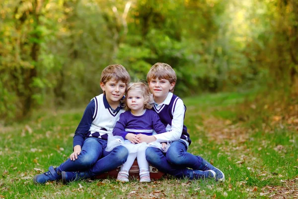 Portret van drie broers en zussen. Twee kinderen broers jongens en kleine schattige peuter zus meisje hebben plezier samen in de herfst bos. Gelukkig gezond familie spelen, wandelen, actieve vrije tijd op de natuur — Stockfoto