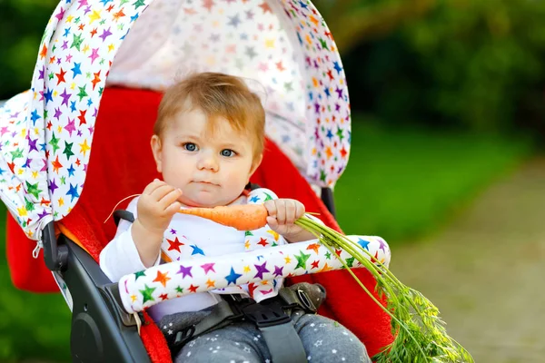신선 한 당근을 들고 먹는 귀엽고 귀여운 여자 애. 식욕 이왕성 한 어린이는 건강에 좋은 간식을 먹는다. 유모차나 유모차에 앉아 있는 아기. 야외에서 6 개월된 어린아이가 여름날 야채를 먹는 모습 — 스톡 사진