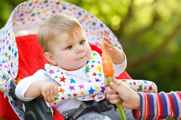 Linda menina adorável segurando e comendo cenoura fresca. Criança amadurecida tendo lanche saudável. Menina sentada em carrinho ou carrinho. Criança de 6 meses ao ar livre, comendo legumes no dia de verão — Fotografia de Stock