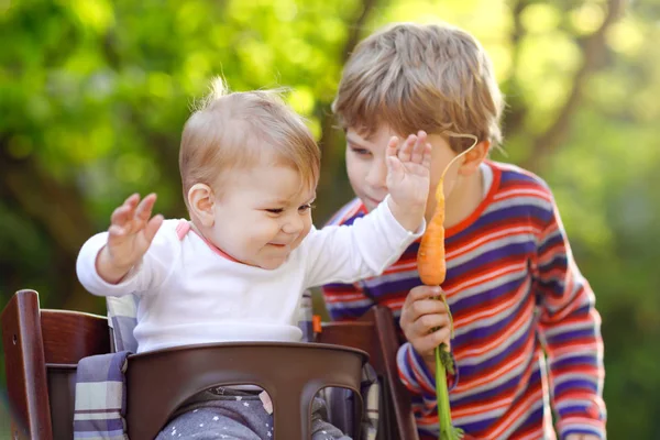 Liten blond liten pojke ger en morot till lillasyster. Glada syskon ätande frisk matbit. Baby flicka sitter i barnvagn eller sittvagn. Bror och söt småbarn utomhus, äta grönsaker sommardag — Stockfoto